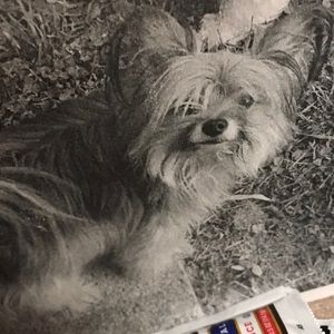 Meet your Posher, Charlotte